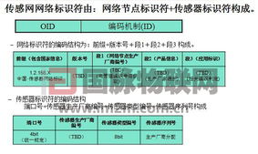 探尋物聯(lián)網(wǎng)的中國道路——2010國際物聯(lián)網(wǎng)峰會(huì)回顧與展望